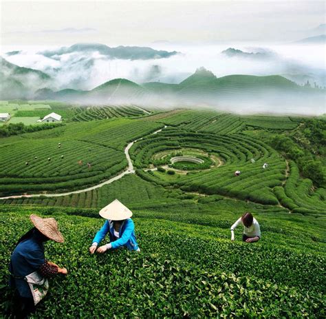 are there farms in china
